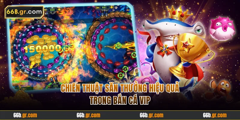 Một vài mẹo săn cá hiệu quả hội viên có thể áp dụng